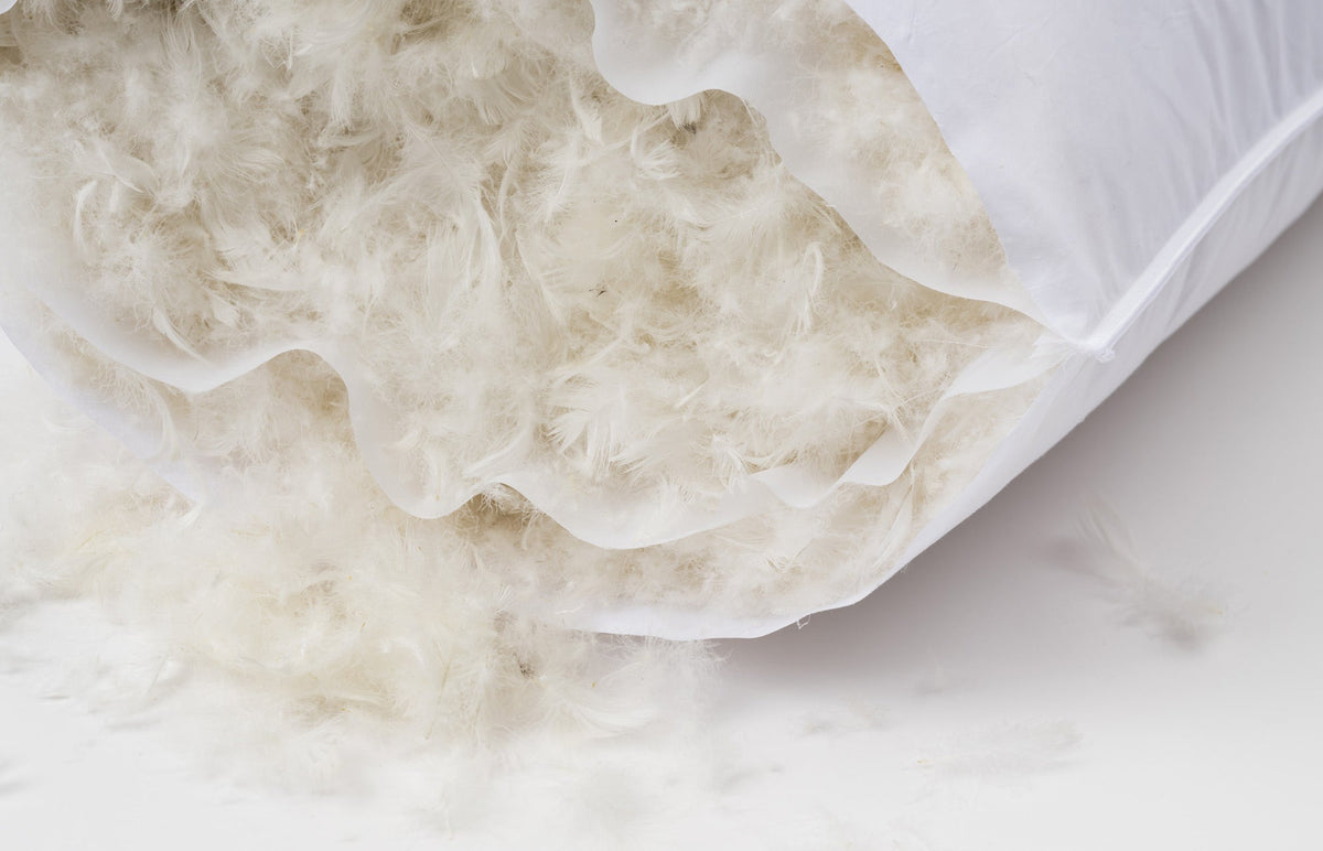 Down Comfort Medium Pillow