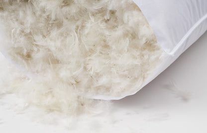 Down Comfort Medium Pillow